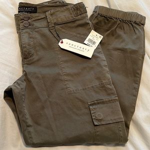 Sanctuary cargo pants